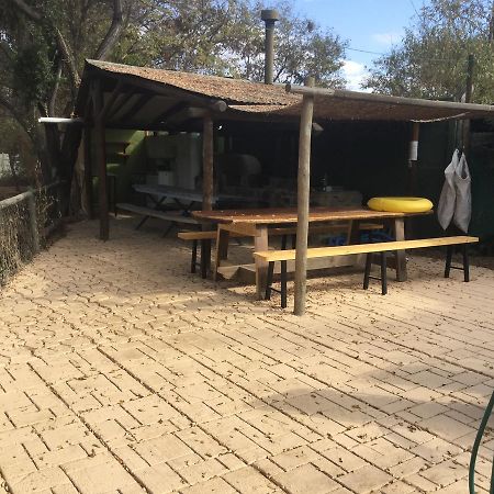La Quinta Bruja Bed & Breakfast Santiago Dış mekan fotoğraf